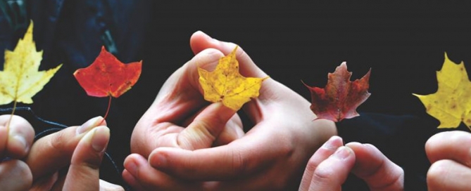 Children outdoors holding fall leaves